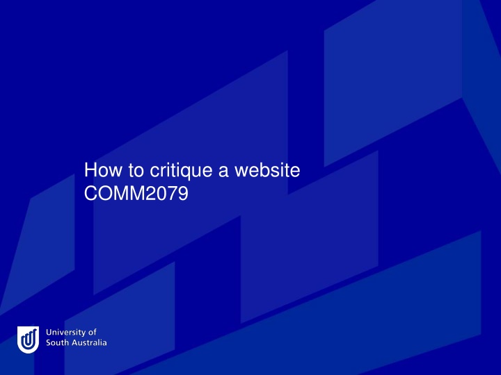 Website Critique: Evaluation Factors for Website Design