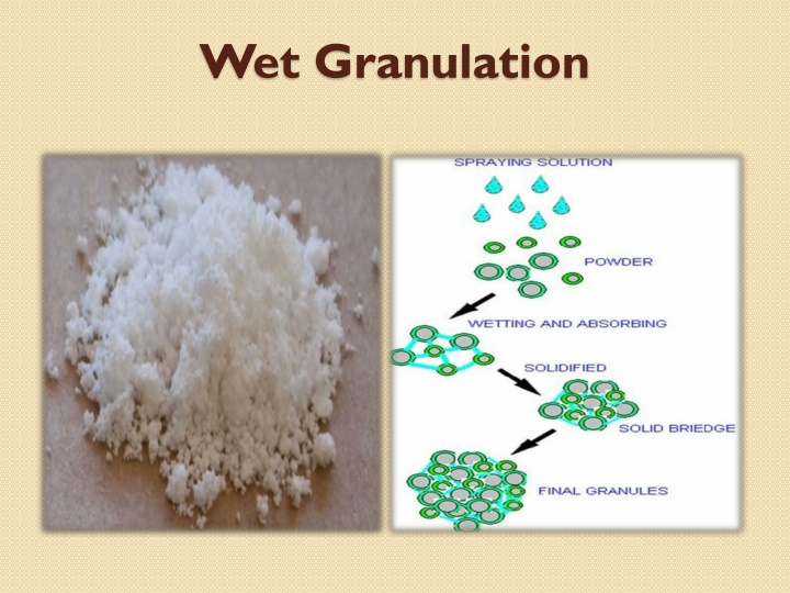 Wet Granulation Technique Overview