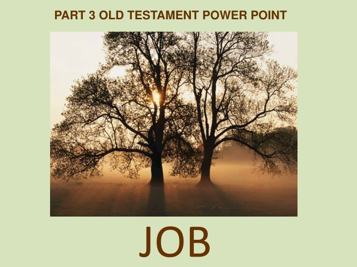 Themes of Job and Psalms in the Old Testament