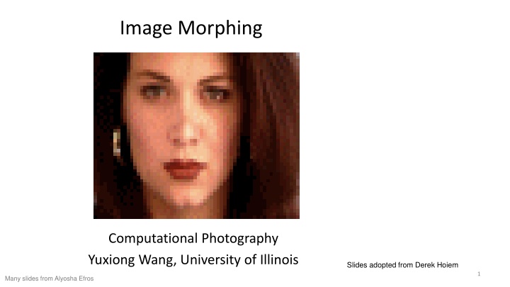 Image Morphing Techniques