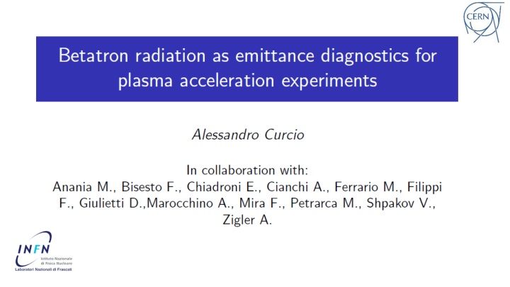 Plasma Acceleration and Betatron Oscillations Beam Characterization Method