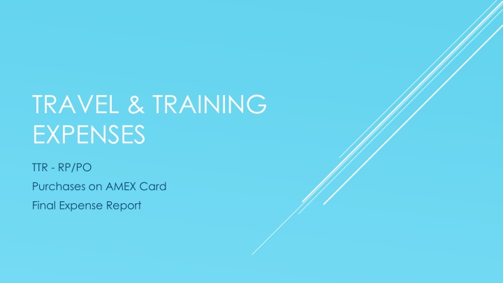 Travel and Training Expenses Final Report Guidelines