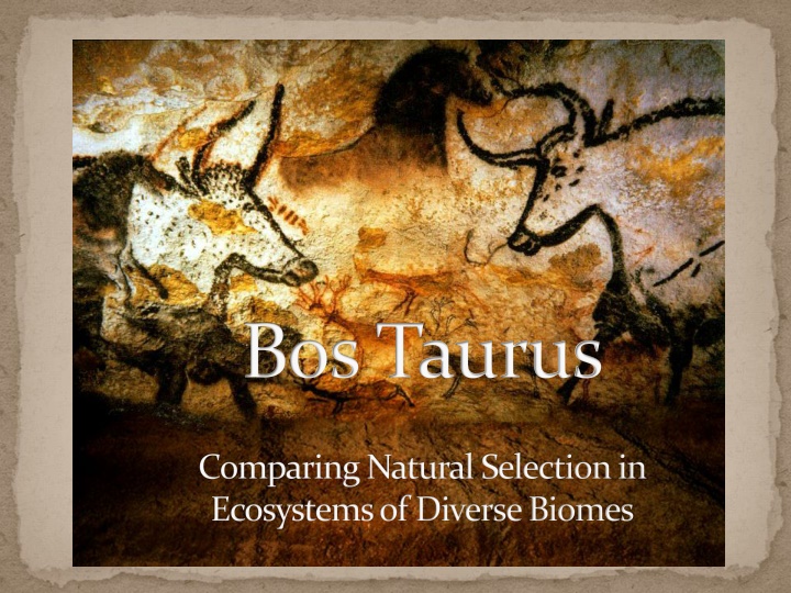 Comparing Natural Selection in Diverse Biomes: Spanish Cattle Adaptations