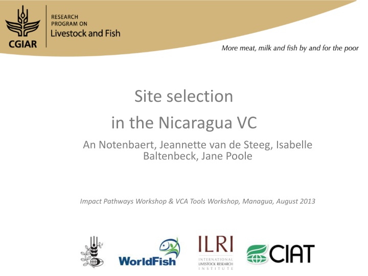 Site Selection Process in Nicaragua's Value Chain: Workshop Insights