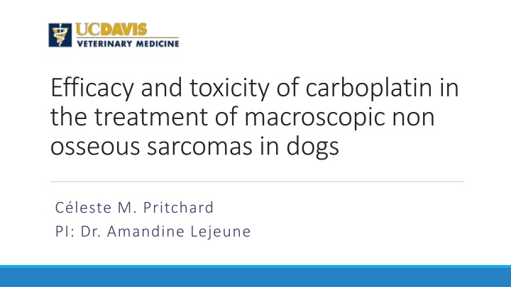 Efficacy and Toxicity of Carboplatin in the Treatment of Canine Non-Osseous Sarcomas