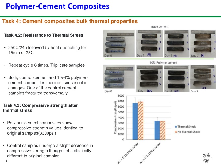Study on the Thermal and Chemical Properties of Polymer-Cement Composites