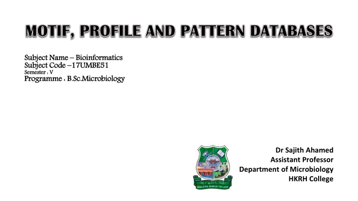 Motifs in Bioinformatics