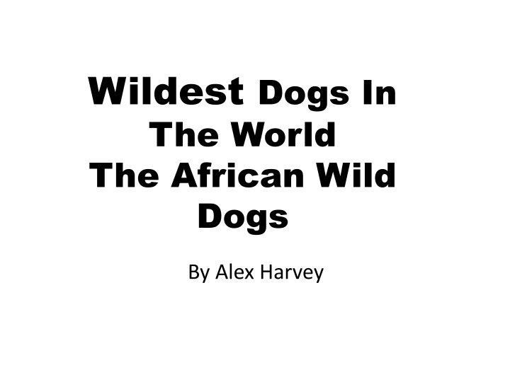 The Fascinating African Wild Dogs