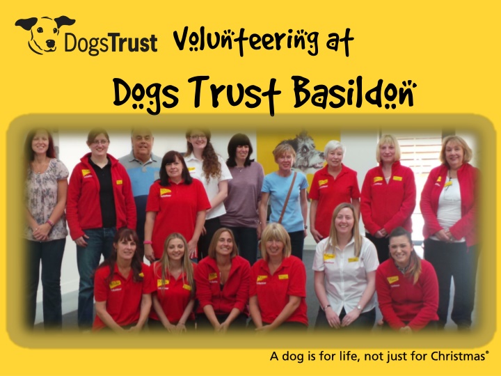 Enhancing Volunteer Engagement at Dogs Trust Basildon