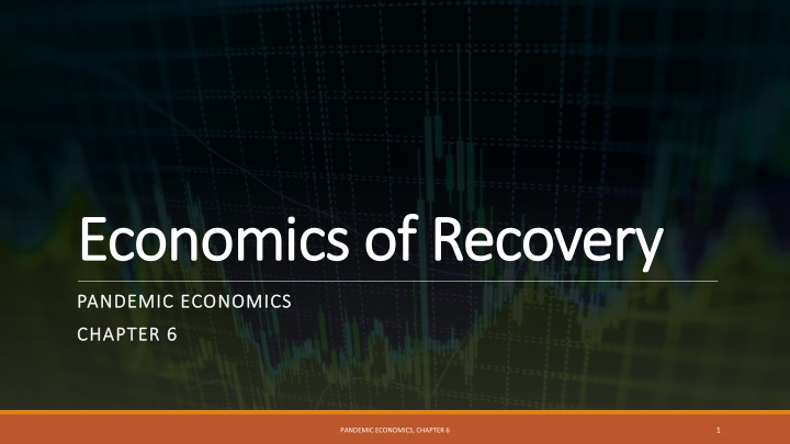 Economic Recovery in Pandemics