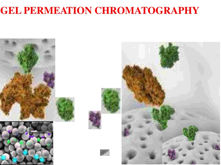Gel Permeation Chromatography (GPC) Technique