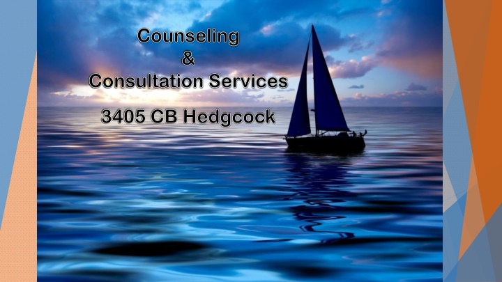 Counseling for Support and Guidance