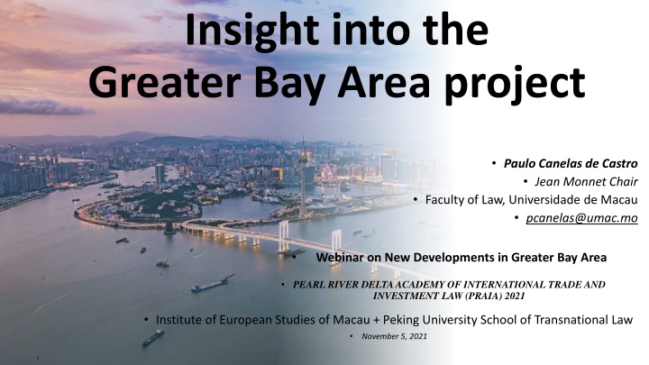 Insights into the Greater Bay Area Project