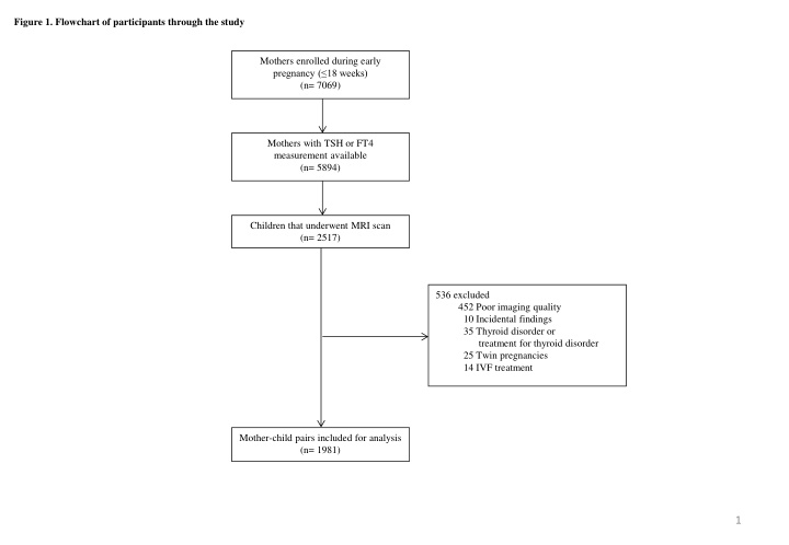 Maternal Thyroid Hormones and Offspring Brain Development: Study Flow and Findings