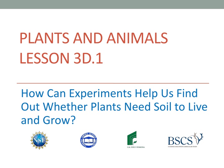 Role of Soil in Plant Growth Experiments