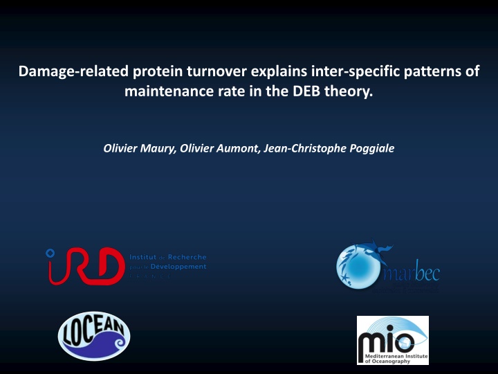 Damage-Related Protein Turnover in Relation to Somatic Maintenance in the DEB Theory
