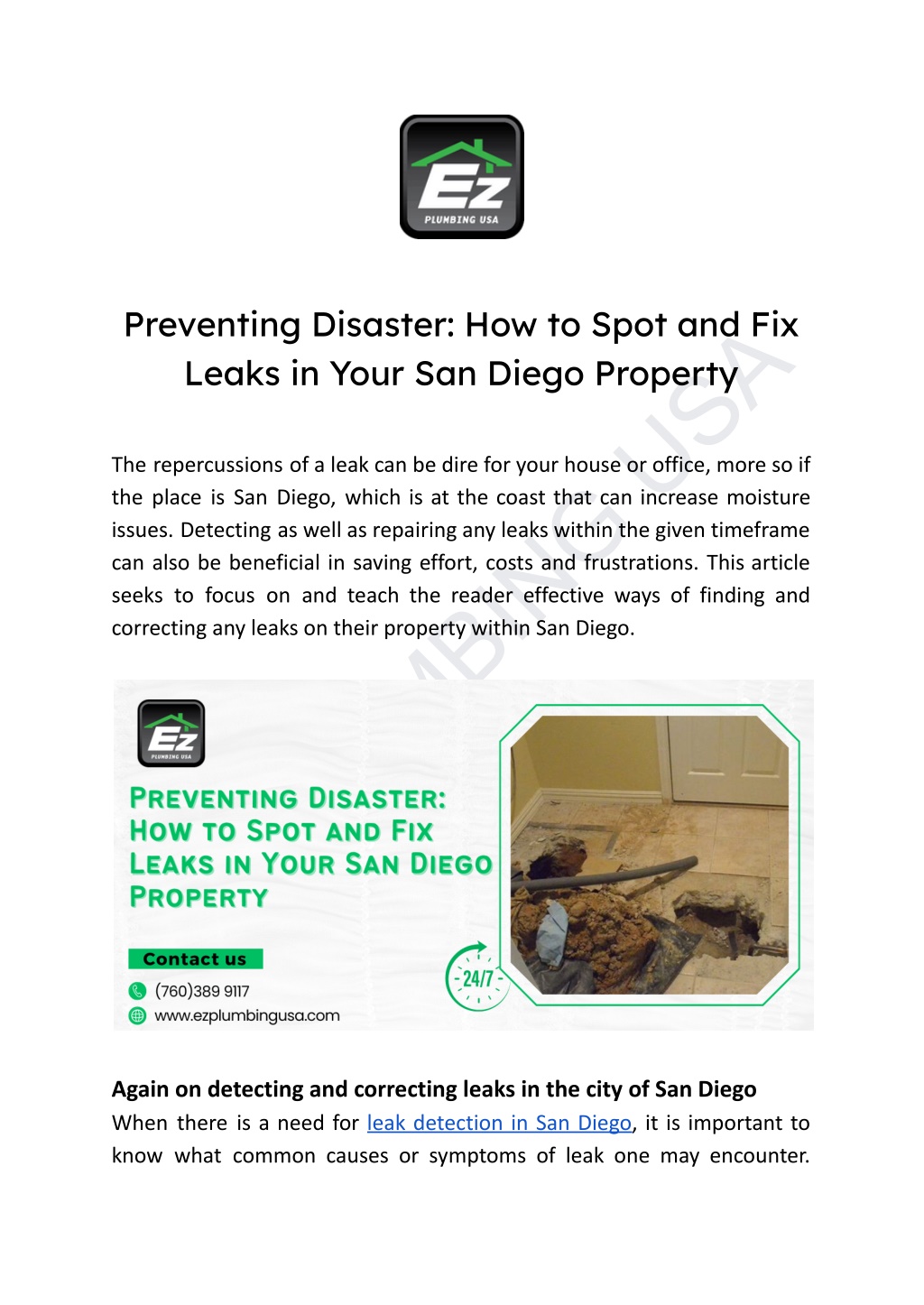 preventing disaster how to spot and fix leaks l.w