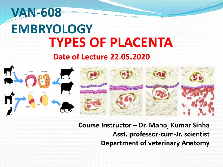 Types of Placenta in Embryology: Classification and Structure