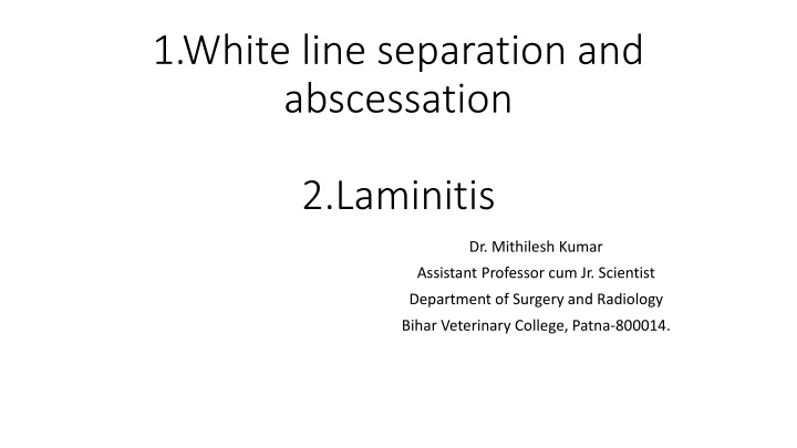 White Line Disease and Laminitis in Veterinary Medicine