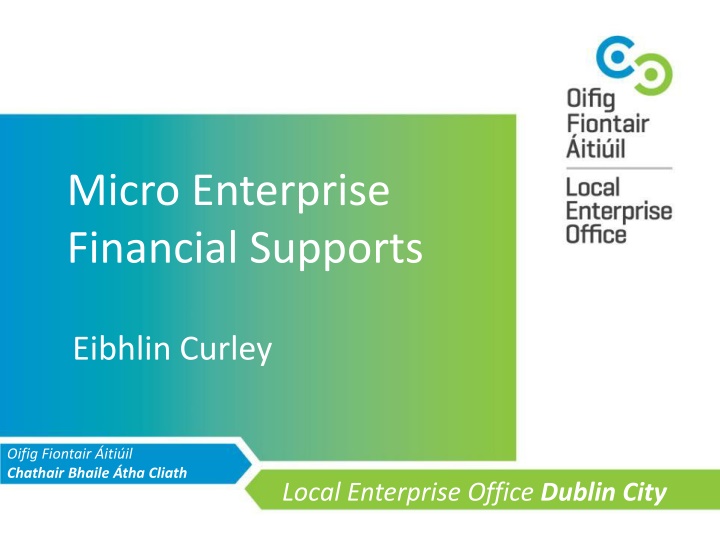 Financial Support and Grants for Dublin City Micro-enterprises