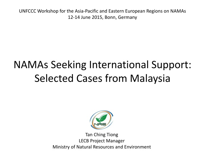 NAMA Development and International Support in Malaysia