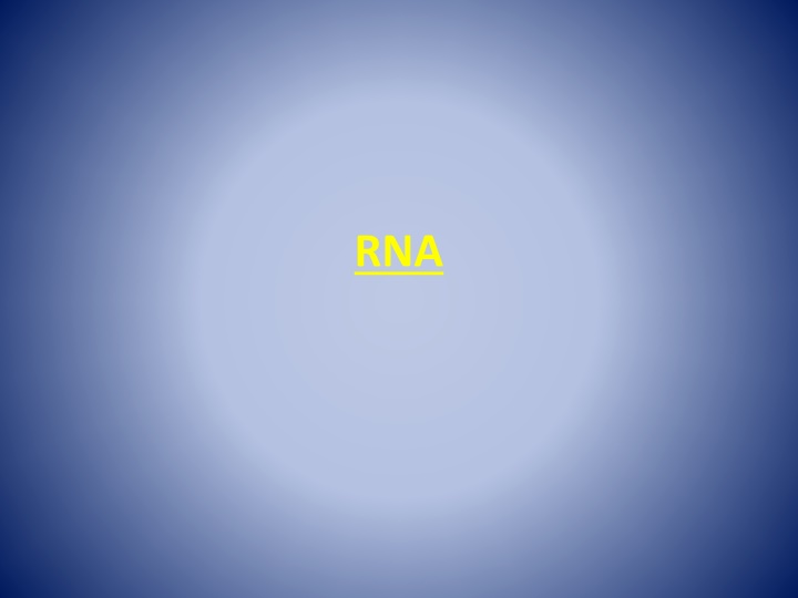 RNA and Protein Synthesis Processes