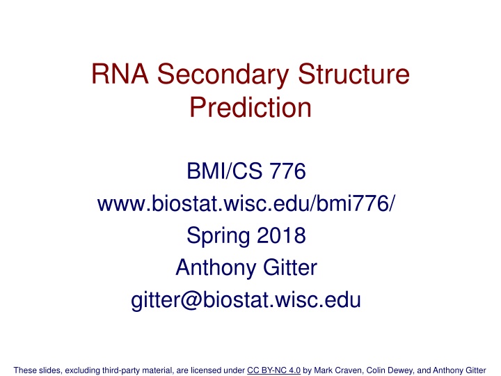 RNA Secondary Structure Prediction in Bioinformatics