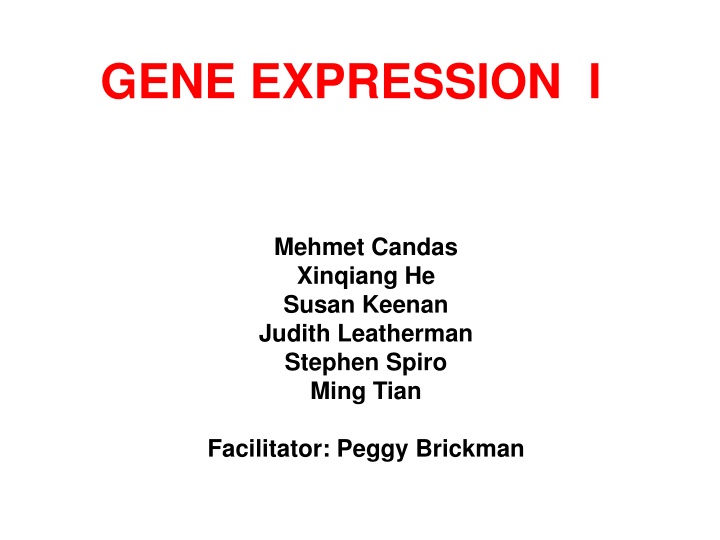 Mechanisms of Gene Regulation Through RNA Interference