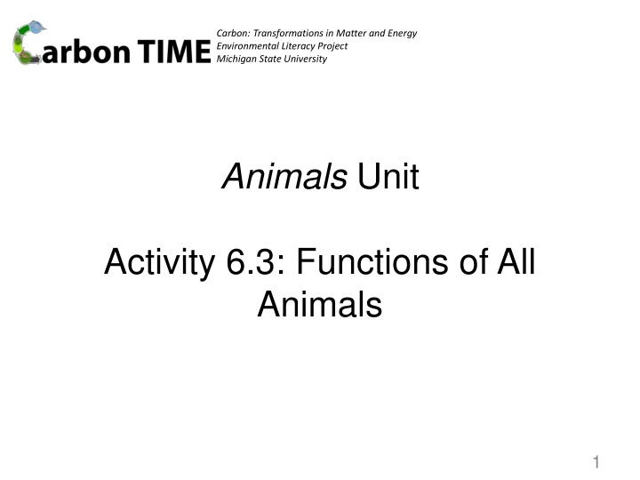 Animal Functions and Energy Transformations