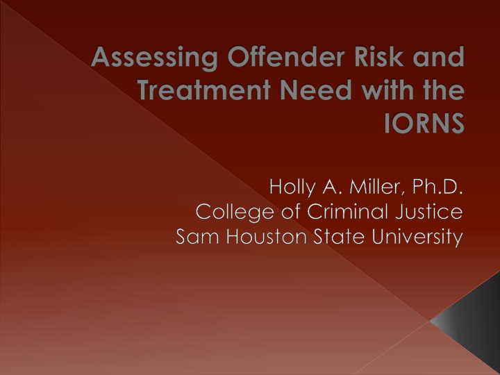 Assessing Offender Risk and Treatment Needs with IORNS