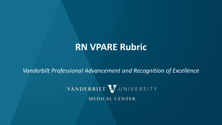 Vanderbilt Nursing Professional Advancement Rubric