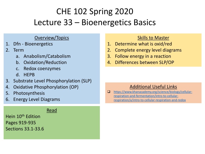 Bioenergetics Basics: Overview, Topics & Energy Diagrams