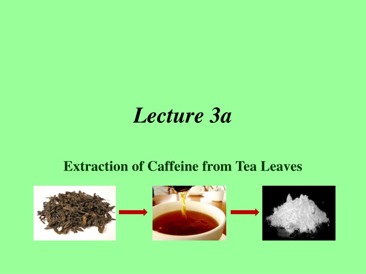 Caffeine Extraction from Tea Leaves