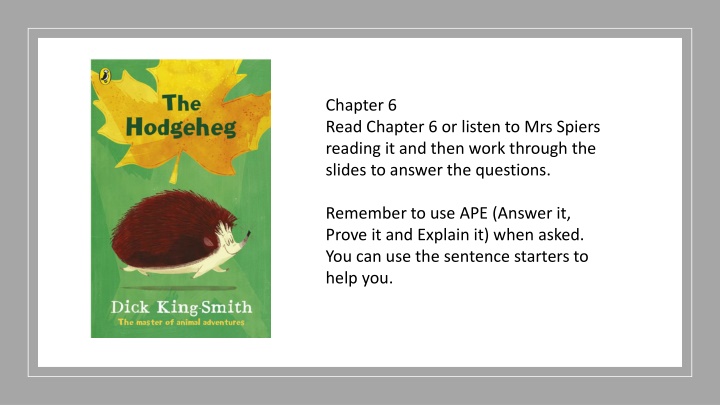 Reading Comprehension Exercises on Chapter 6 with APE Strategy