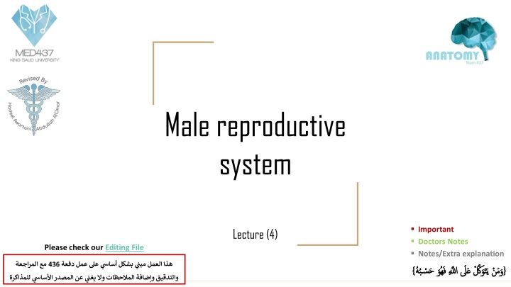 Male Reproductive System Overview: Anatomy, Function, and Components