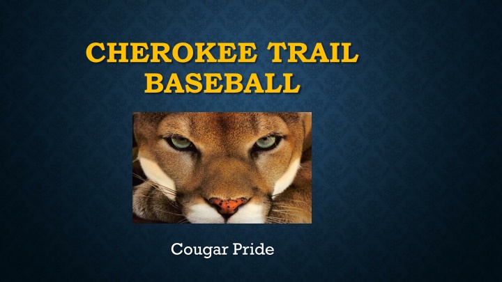 Cherokee Trail Baseball Program Information