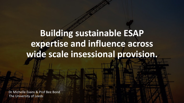 Enhancing ESAP Expertise and Influence for Sustainable Insessional Provision
