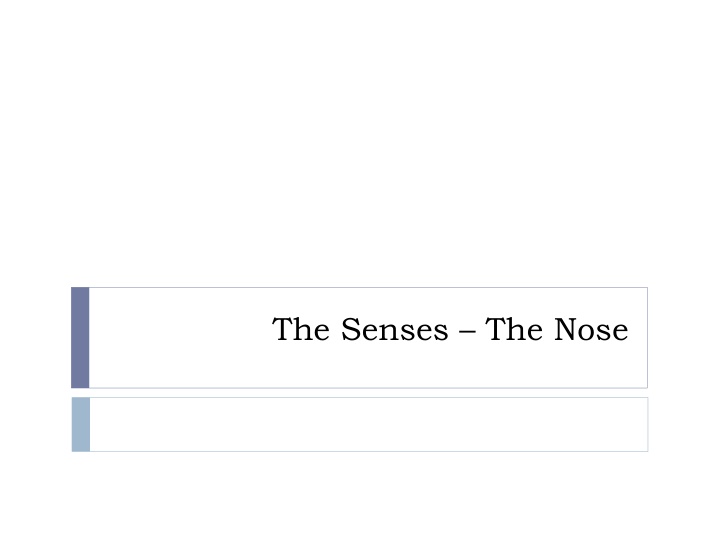 Unveiling the Intriguing World of Olfaction: How Your Nose Detects Scents