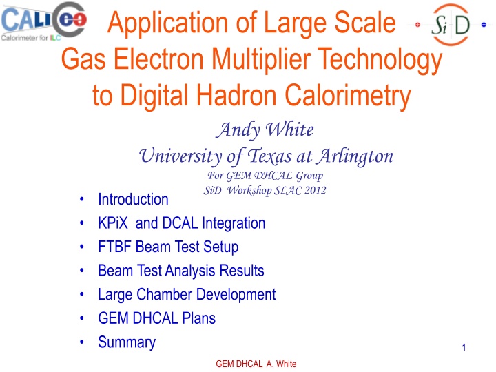 Application of Large-Scale Gas Electron Multiplier Technology to Digital Hadron Calorimetry by Andy White