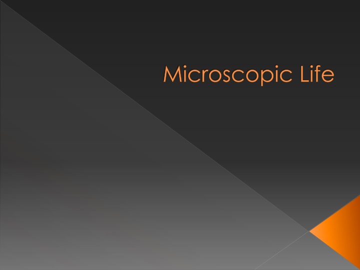 Microscopic Life Through a Microscope