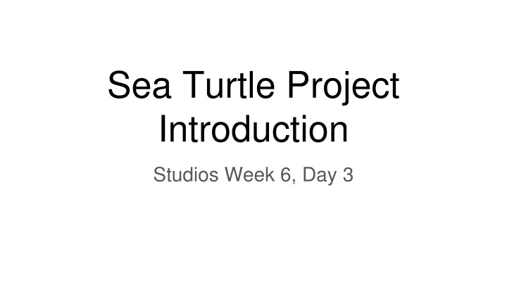 Exploring the Sea Turtle Project Introduction Studios