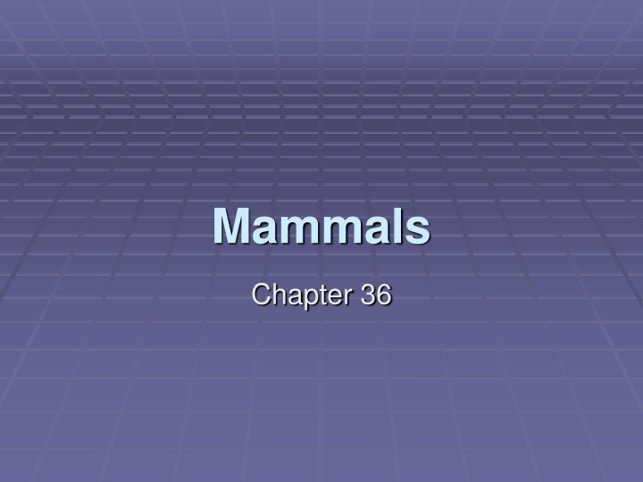 Exploring the World of Mammals