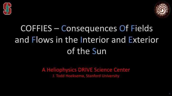 Unveiling the Mysteries of Solar Fields and Flows