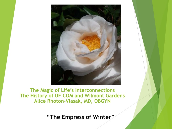 The Untold Stories of UF.COM and Wilmont Gardens