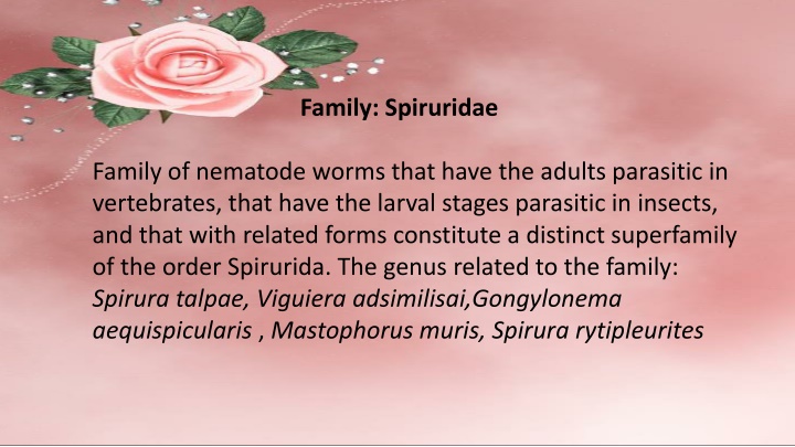 Spiruridae and Filariidae Nematodes in Vertebrates