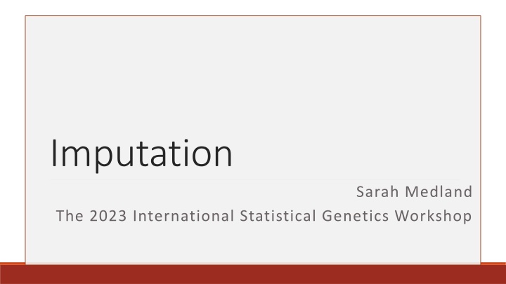 Imputation in Statistical Genetics Workshop