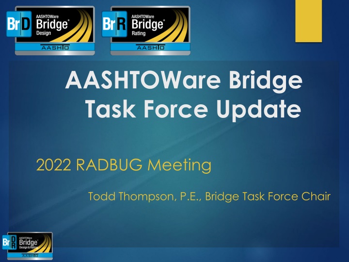 Updates and Enhancements in BrDR System 2022