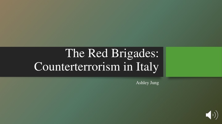 Counterterrorism Measures and Successes in Italy