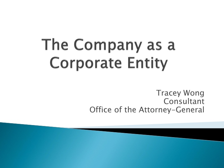 Overview of Company Law: Incorporation, Corporate Veil, and Legal Entities