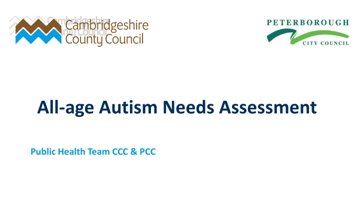 Comprehensive All-Age Autism Needs Assessment by Public Health Team